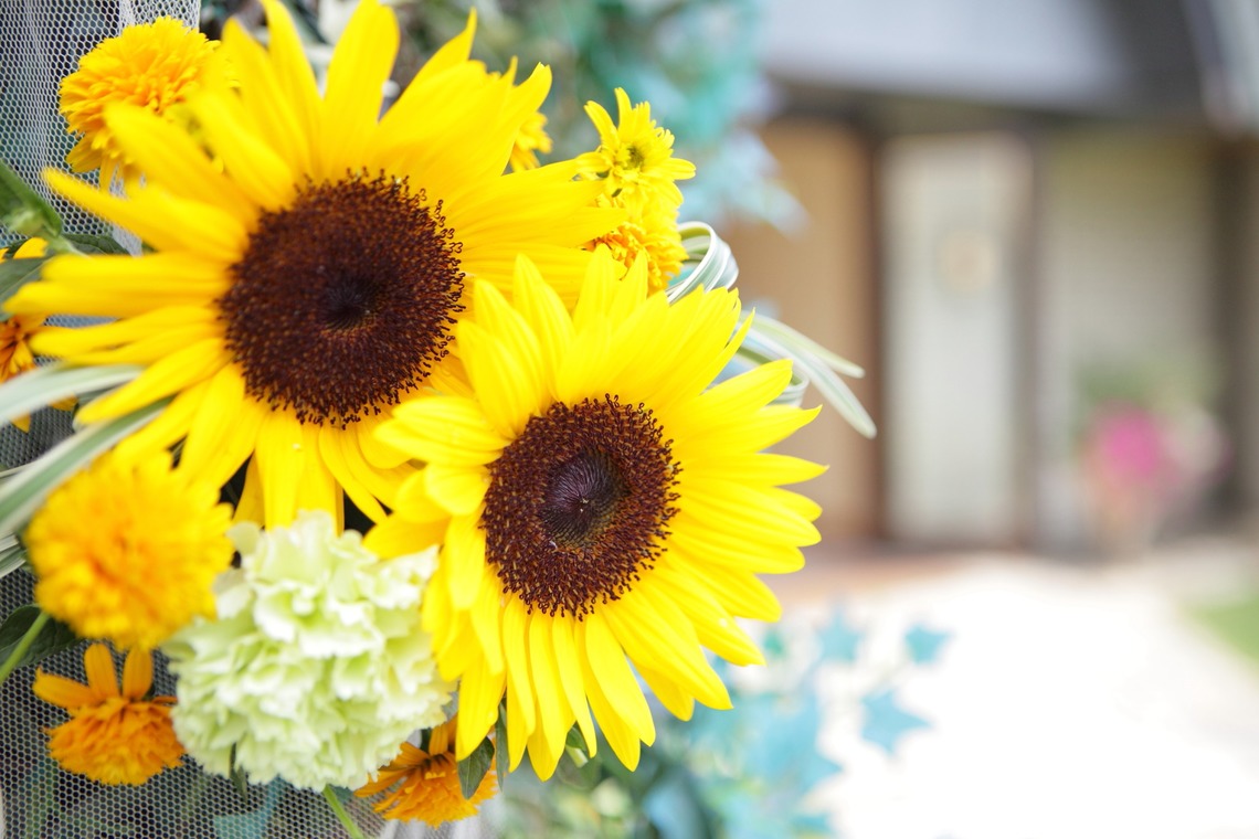 Kaoru Photographyが撮影した「当日挙式写真」の写真