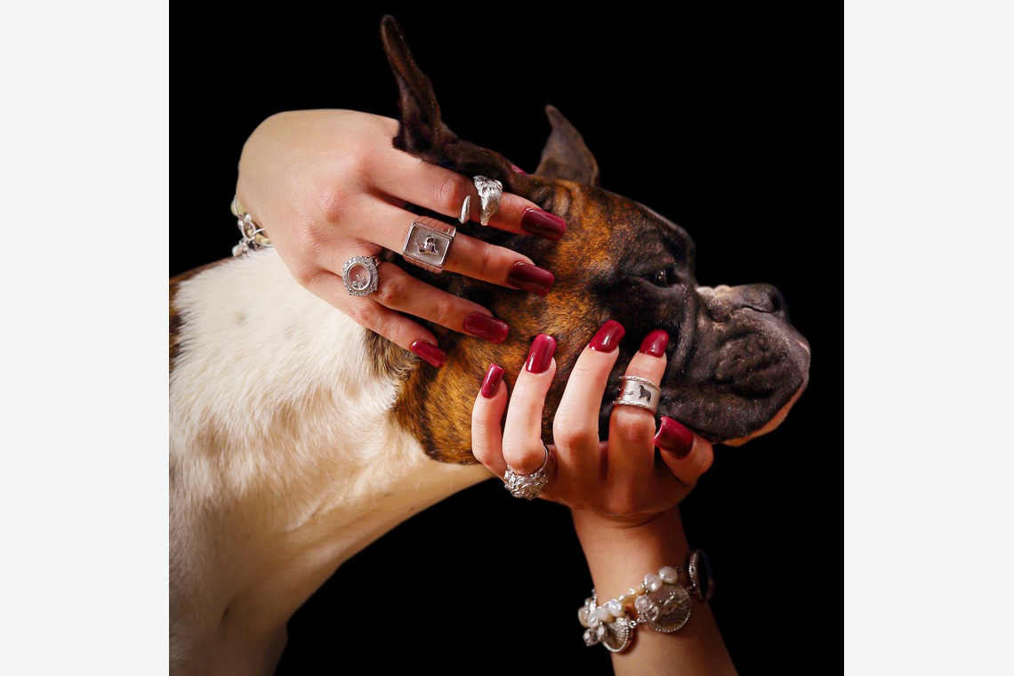 長谷部ナオキチが撮影した写真のアルバム「商品撮影」