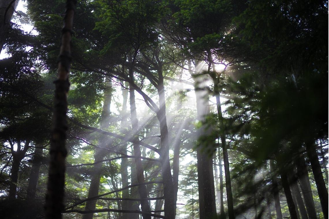 舘　典志が撮影した「風景」の写真