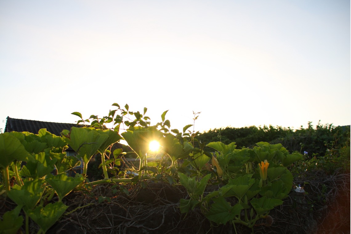 blink photoが撮影した「風景」の写真