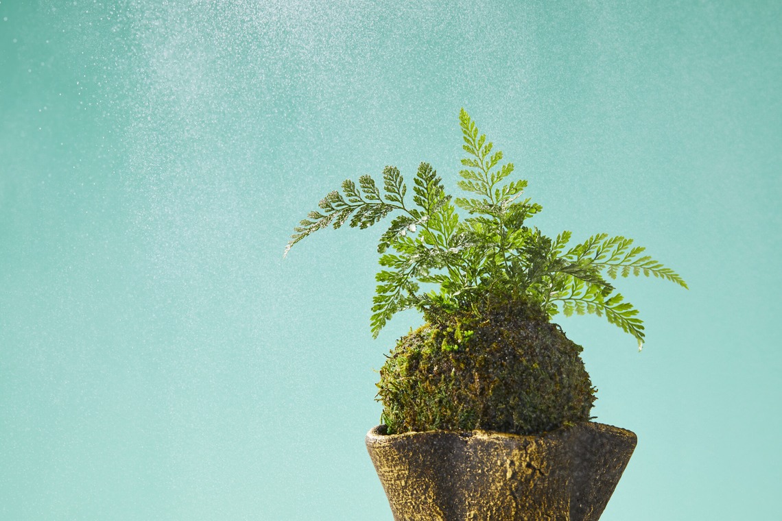 田中真光写真事務所が撮影した「商品撮影」の写真