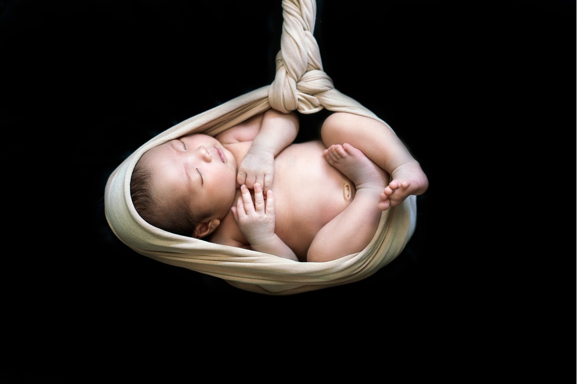 スタジオアルパルカが撮影したニューボーンフォトのアルバム「ニューボーンフォト」