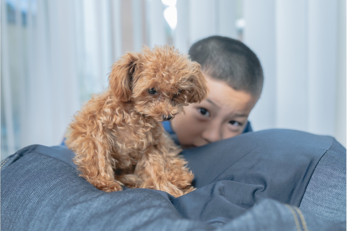 玉城　肇が撮影した家族写真の出張撮影のアルバム「＃」