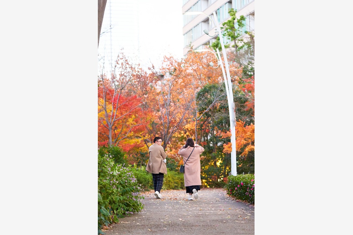 近藤 輝明が撮影した写真のアルバム「ファミリーフォト」