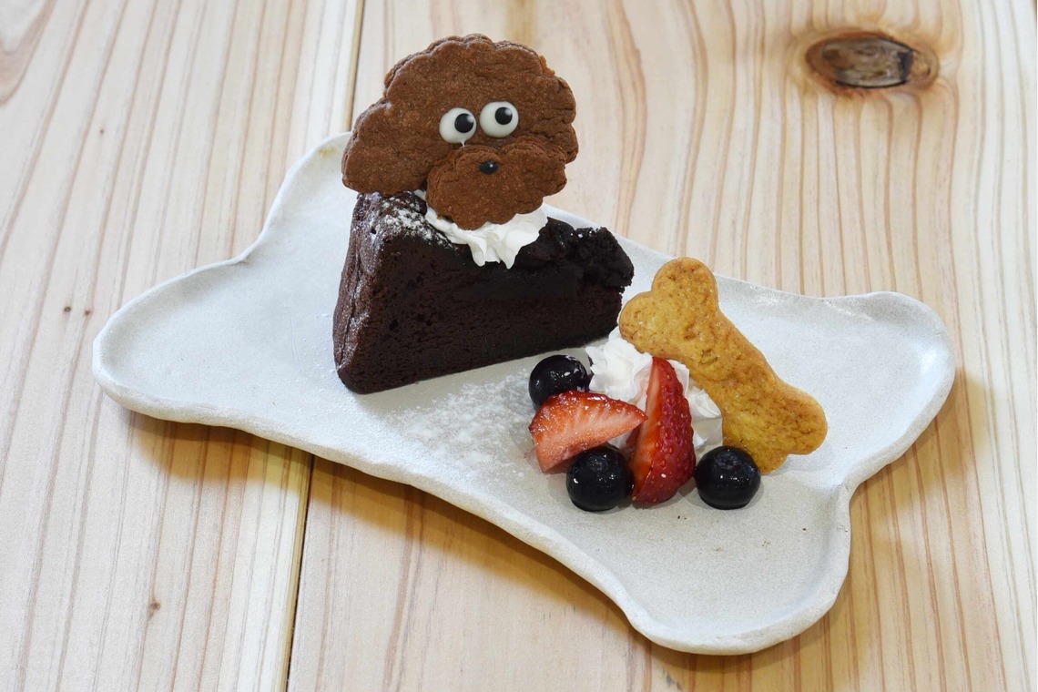 樋上　将太が撮影した写真のアルバム「LilyKitchen（リリーキッチン）」