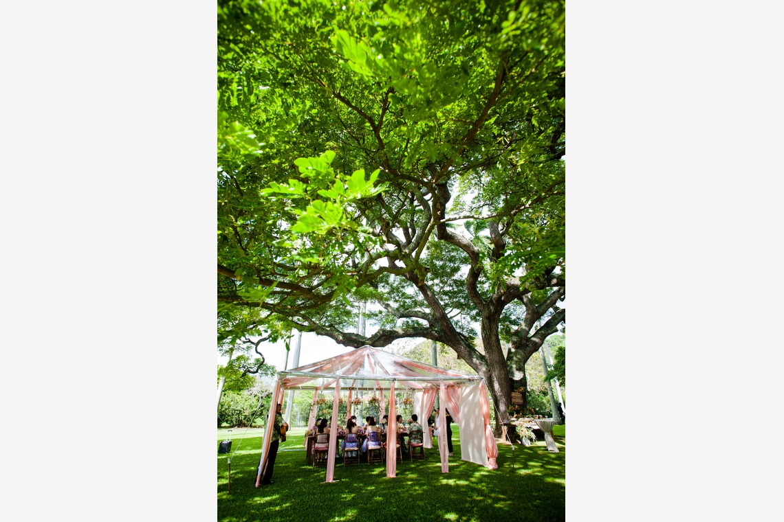 Heritage Bridal Collectionが撮影した「ハワイパーティースペース」の写真