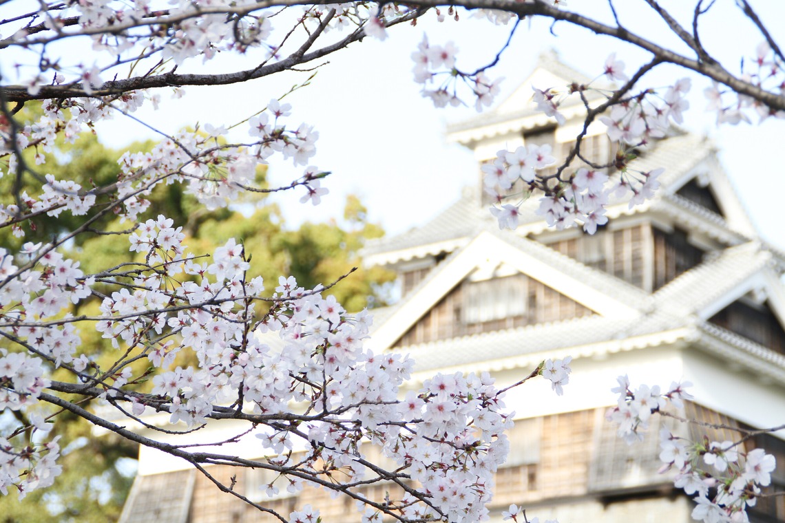 blink photoが撮影した「風景」の写真