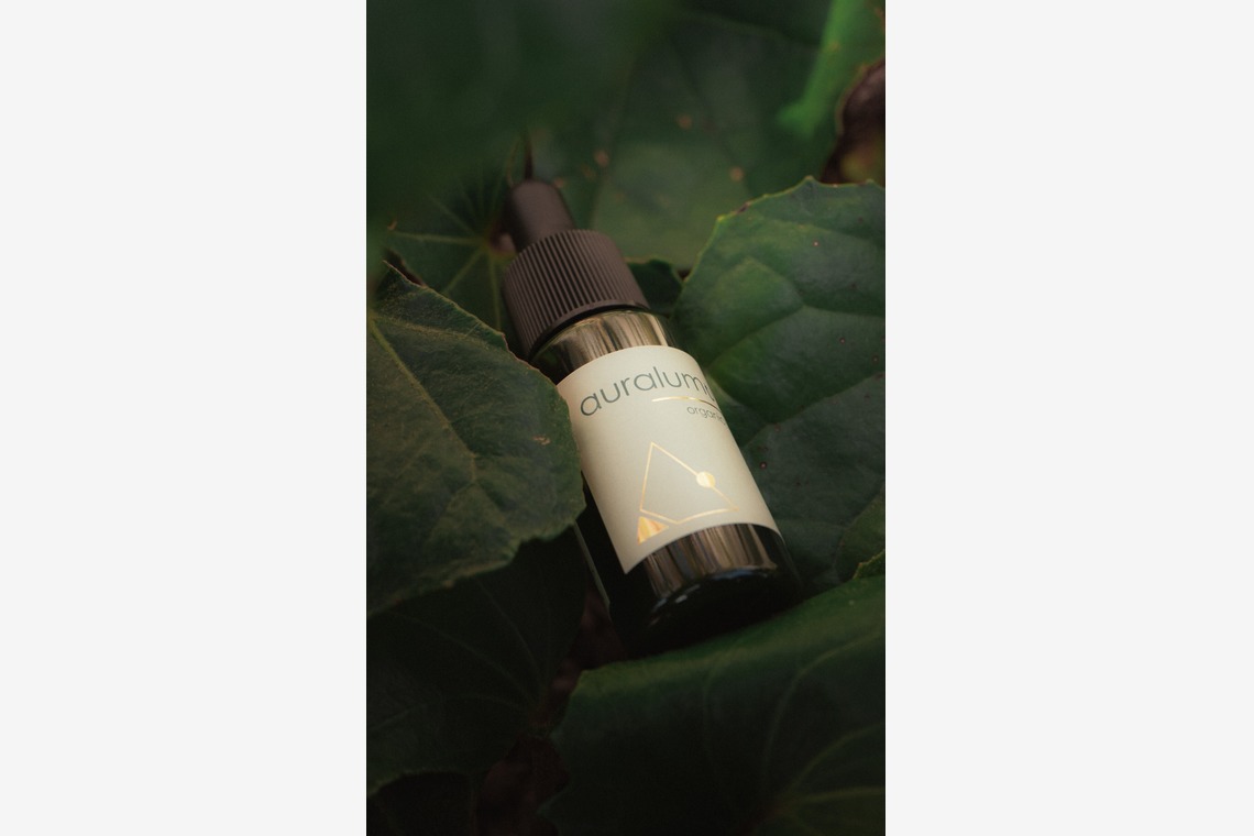 S＆Iが撮影した写真のアルバム「イベント撮影」