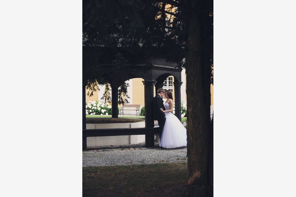 Wedding Photography Dubaiが撮影した「ドバイで???カメ」の写真