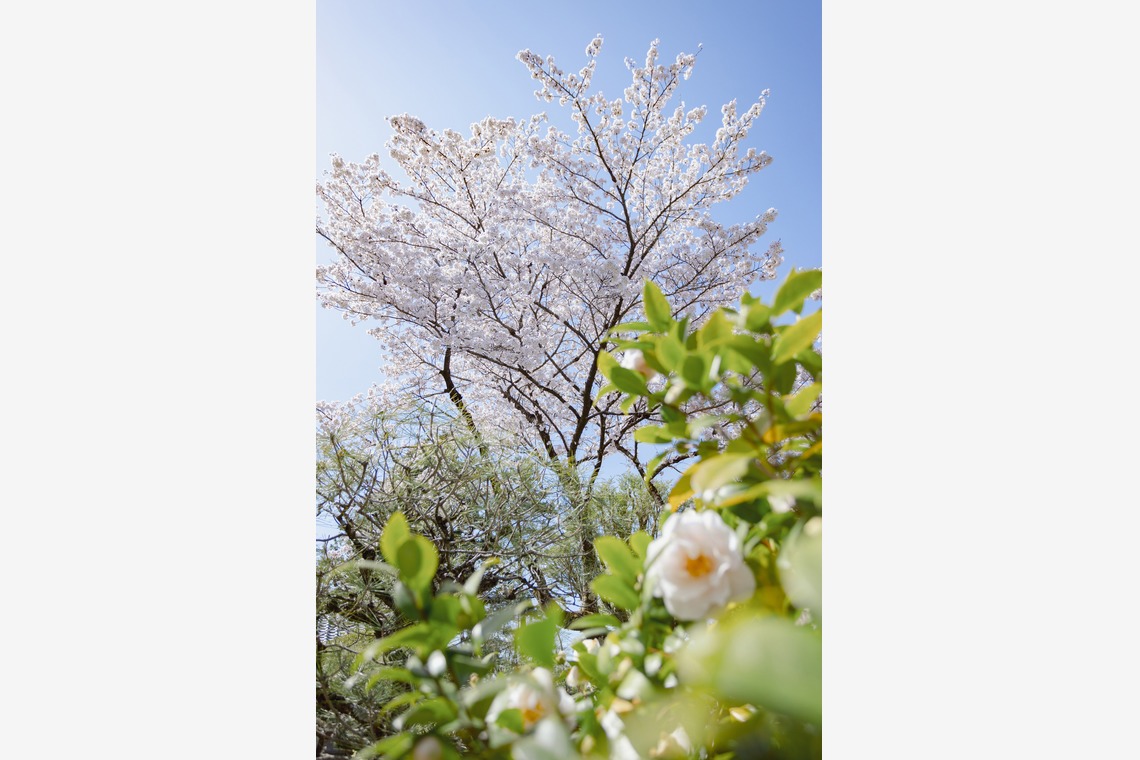 kiharu&photoが撮影した「風景【ロケ撮影】」の写真