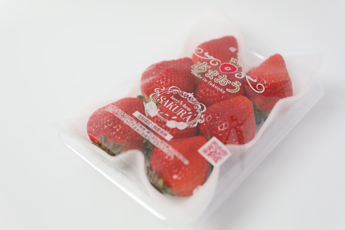 岩坪眞一郎が撮影した「商品または作品」の写真