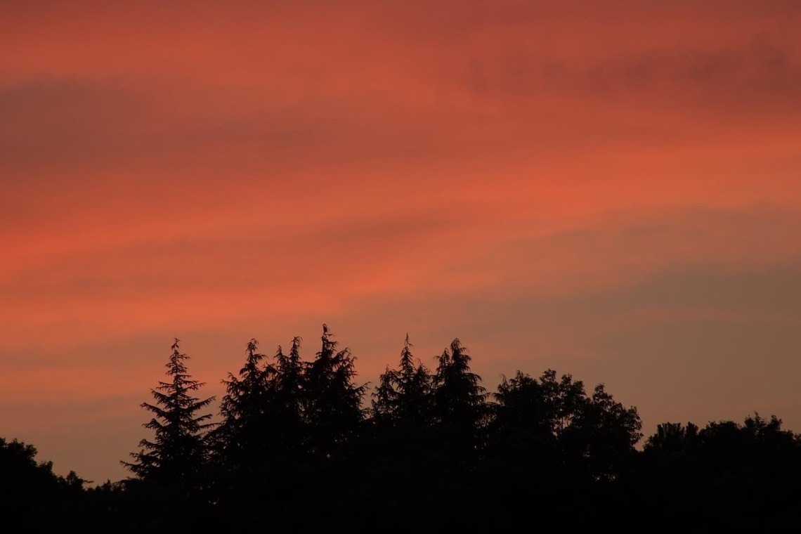 池田健人が撮影した「高尾」の写真