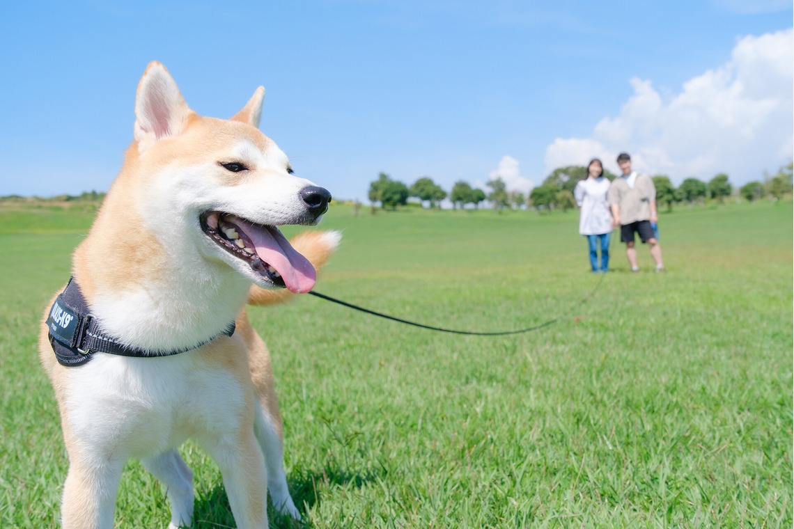 高夏写真店が撮影した「カップルフォトの撮影」の写真