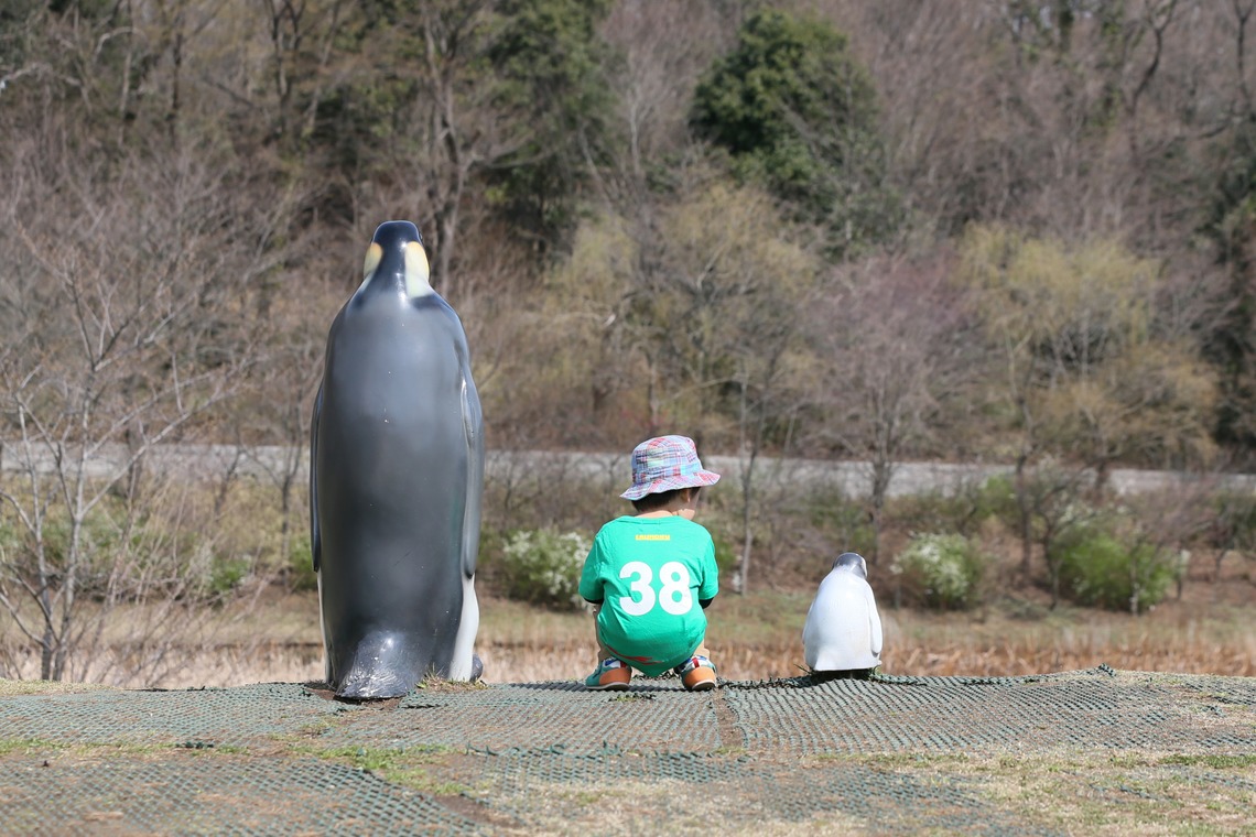 眞田 厚司が撮影した家族写真の出張撮影のアルバム「家族写真・子供写真」
