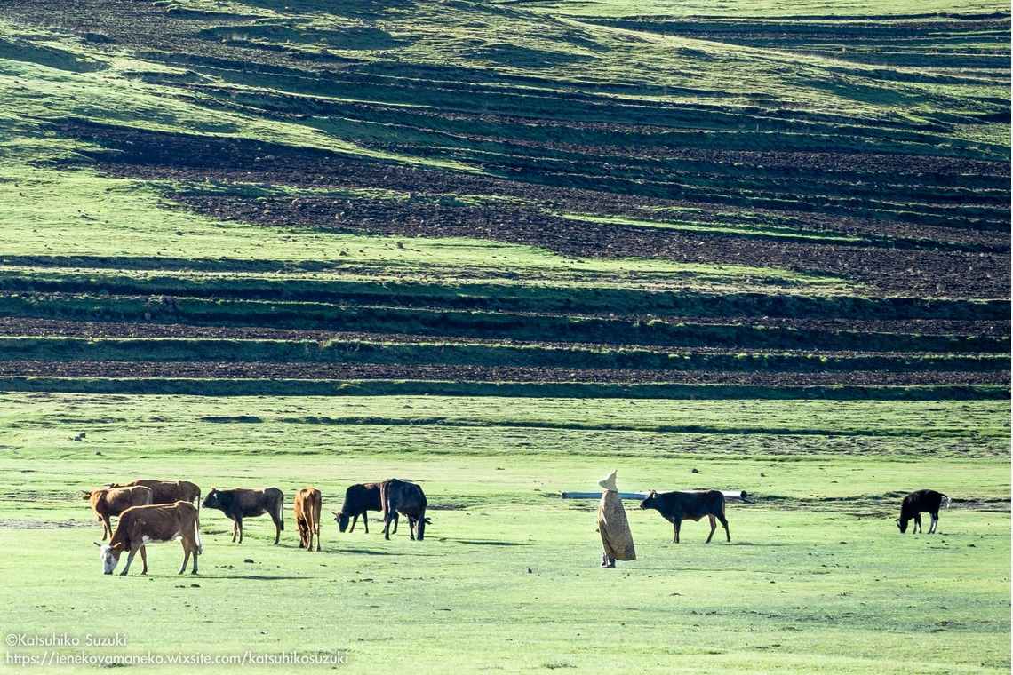 Katsuhiko Suzukiが撮影した写真のアルバム「レソト王国」