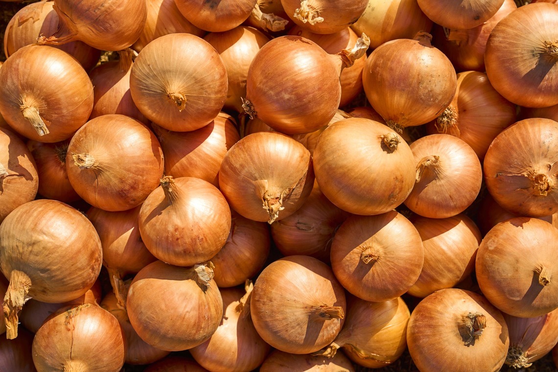高橋　良が撮影した写真のアルバム「料理」