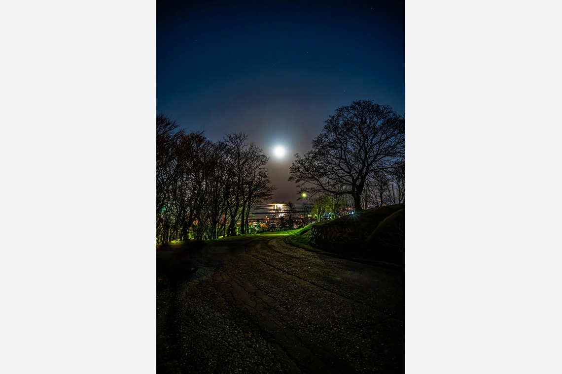 高木勇斗が撮影した「風景」の写真