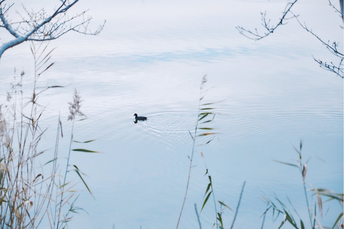 Shun Kanazawaが撮影した「Life Style」の写真