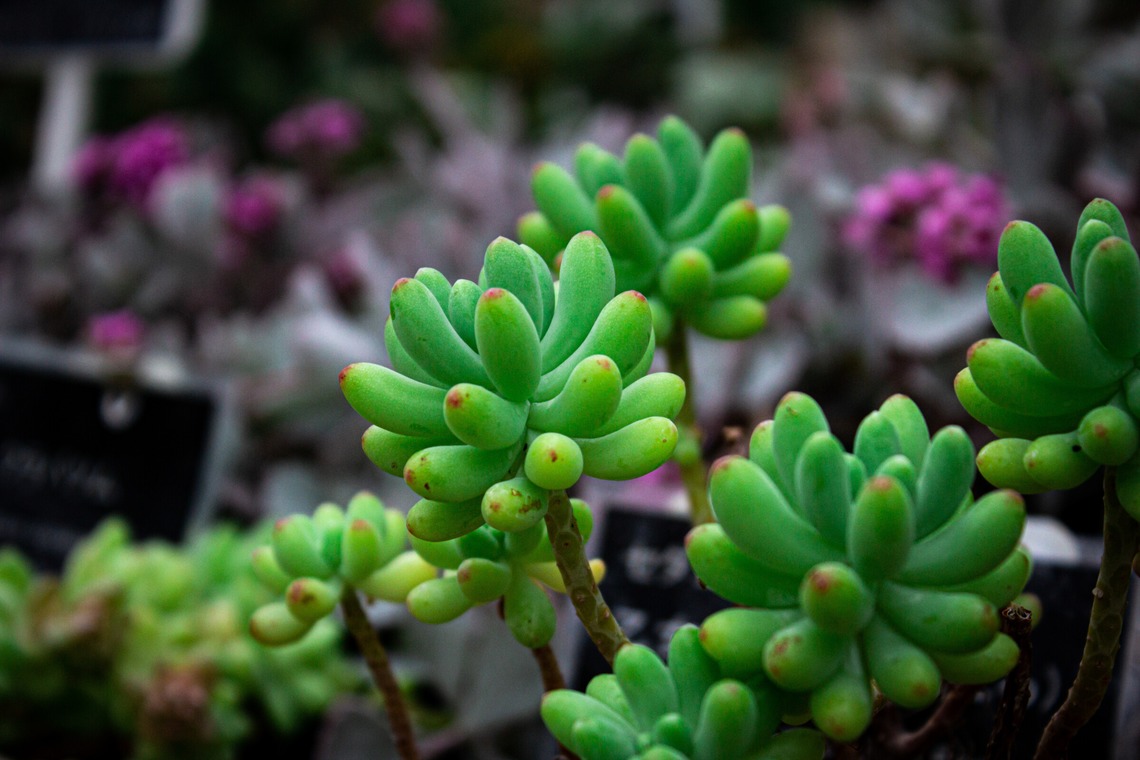 水嶋 将太が撮影した写真のアルバム「思い出。」