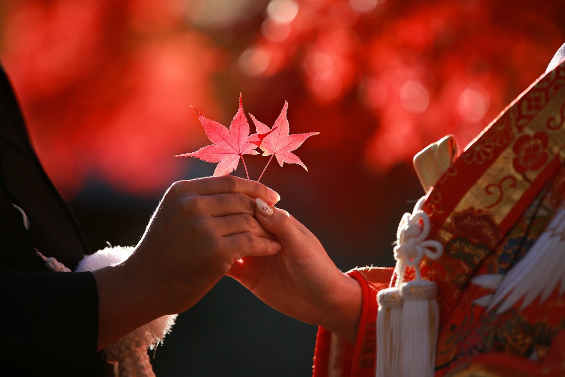 Photo of  taken by Hayashi Photo Works