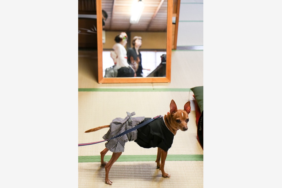 スマイルハンターが撮影した「ウェディング前撮り和装」の写真