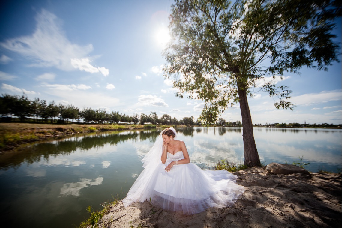 Wedding Photography Dubaiが撮影した「ドバイで???カメ」の写真