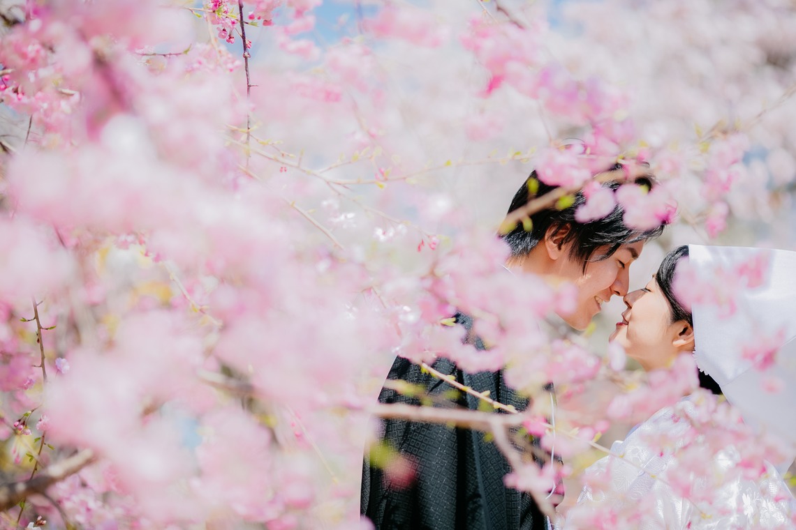 Tomi Photo Studioが撮影した写真のアルバム「和装ロケーションフォト」