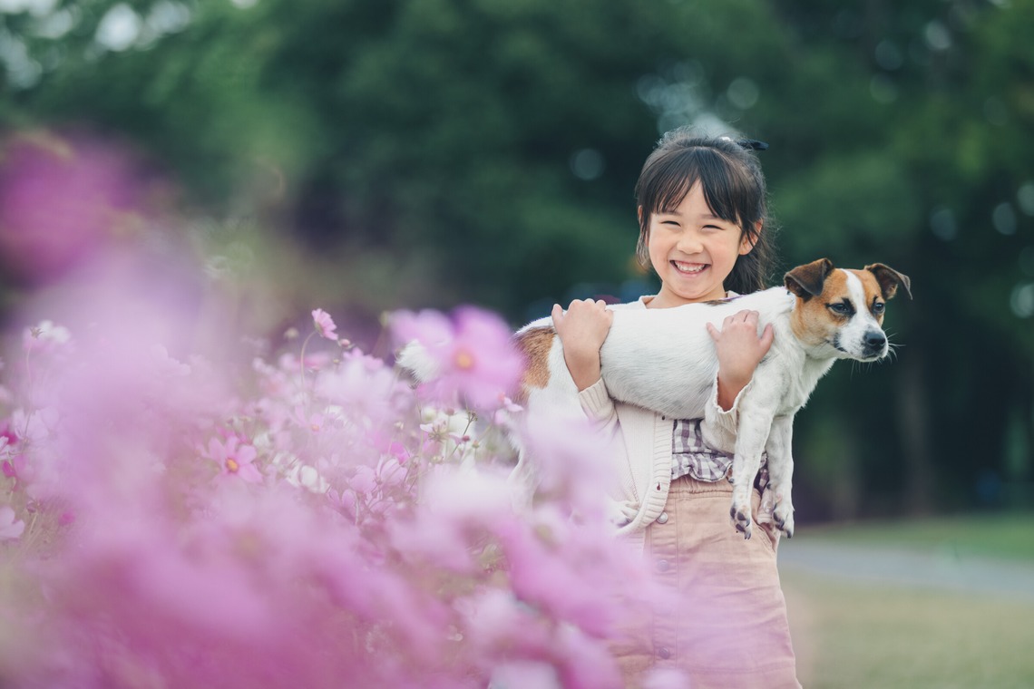 shihoが撮影した写真のアルバム「ロケーションフォト（入学/季節のお花撮影/公園）」