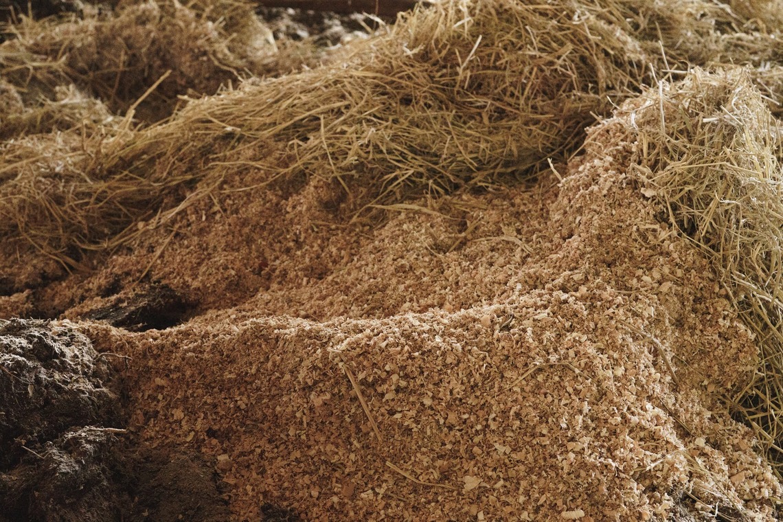 studio cactusが撮影した「農家 - 風景／人物／牛」の写真