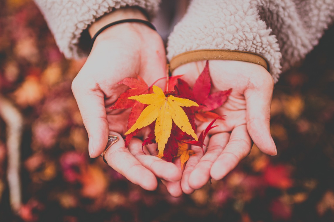 内藤駿介が撮影した写真のアルバム「ファミリーフォト」