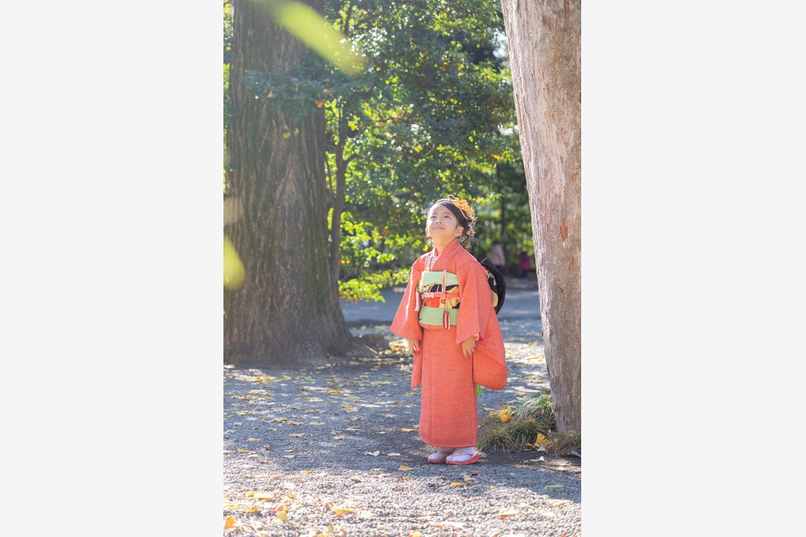結×繋photoが撮影した写真のアルバム「七五三」
