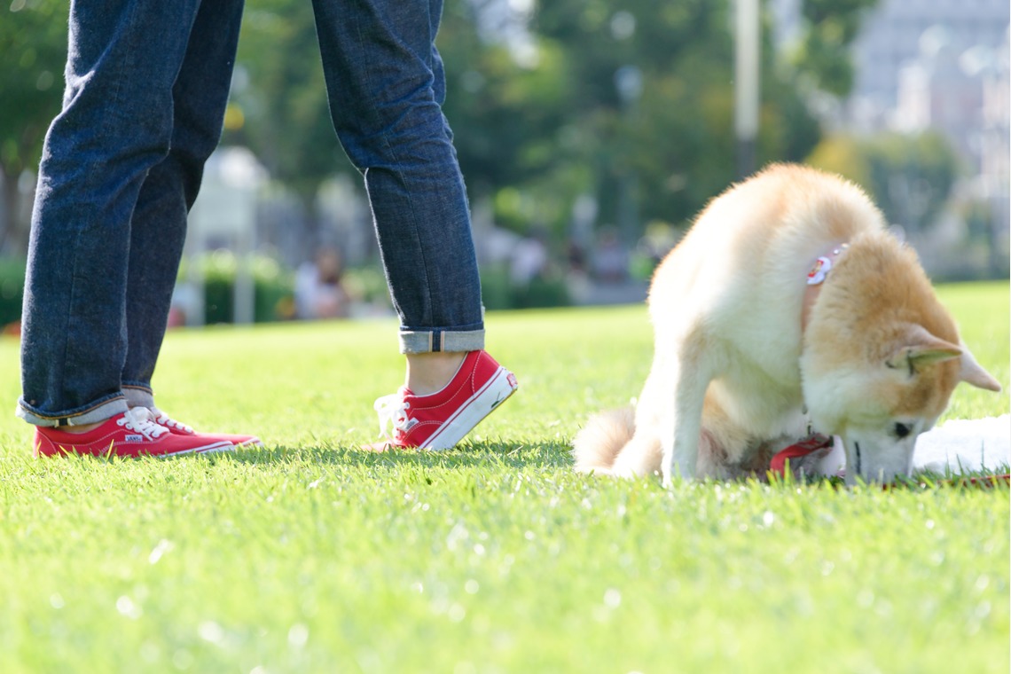 ライトハウスフォトが撮影した「フォトギャラリー」の写真