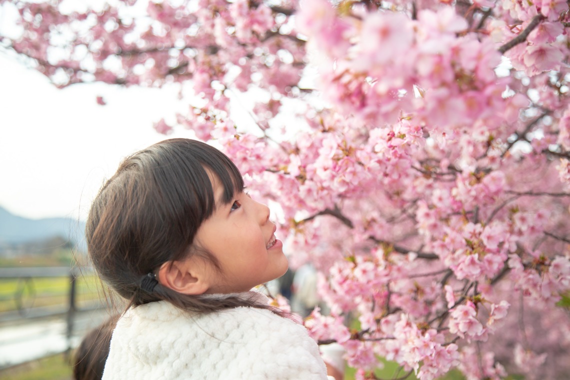 ゆのみふぉとが出張撮影した家族写真(キッズ,ベビーフォト)などが写った「桜とお写真」の家族写真