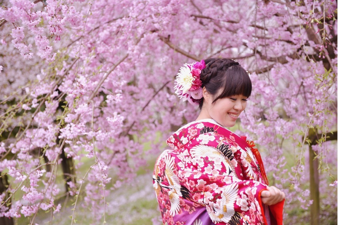 Photo of Pre Weddingphotoshoot in Nara park in the cherry blossom season taken by Kiki photo works