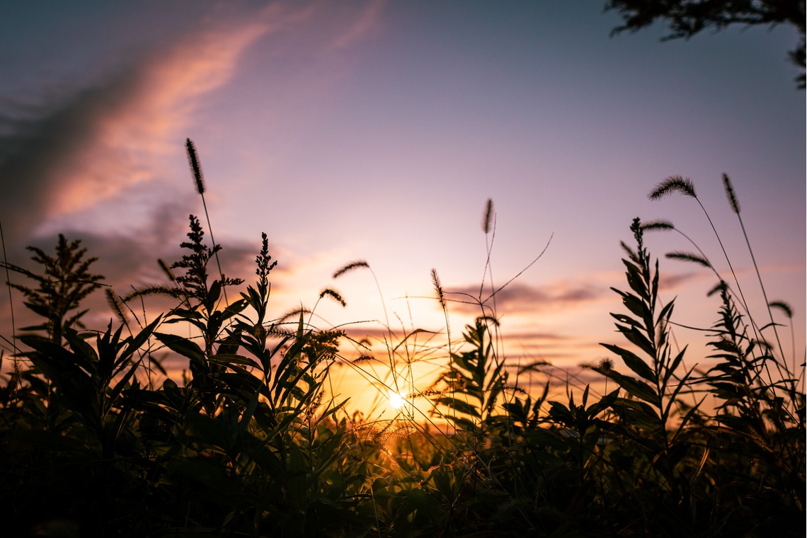 岡田　哲昇が撮影した写真のアルバム「風景スナップ」