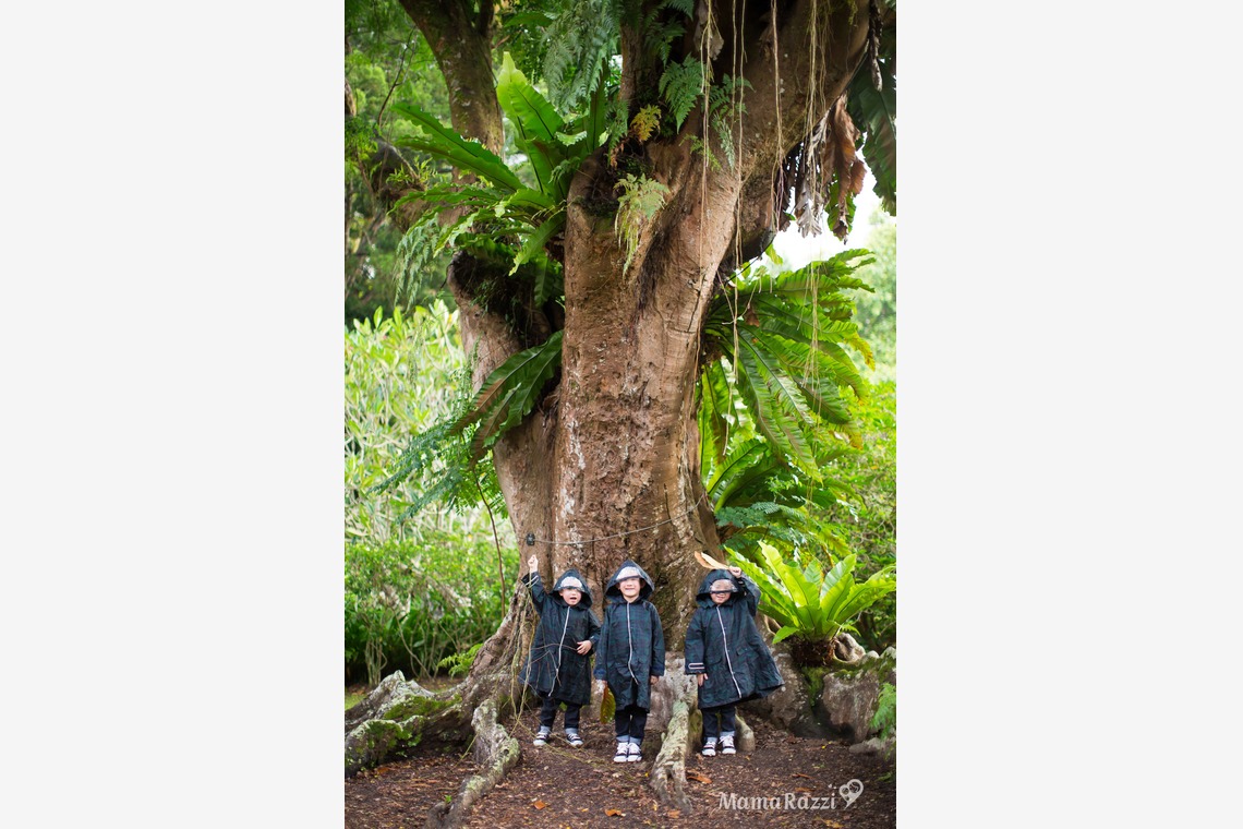 ママラッチが撮影した家族写真(キッズ,ベビーフォト)のアルバム「ボタニック・ガーデン」