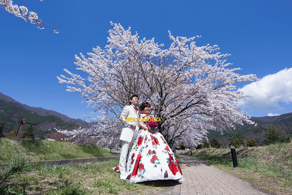 あらじんのらんぷ