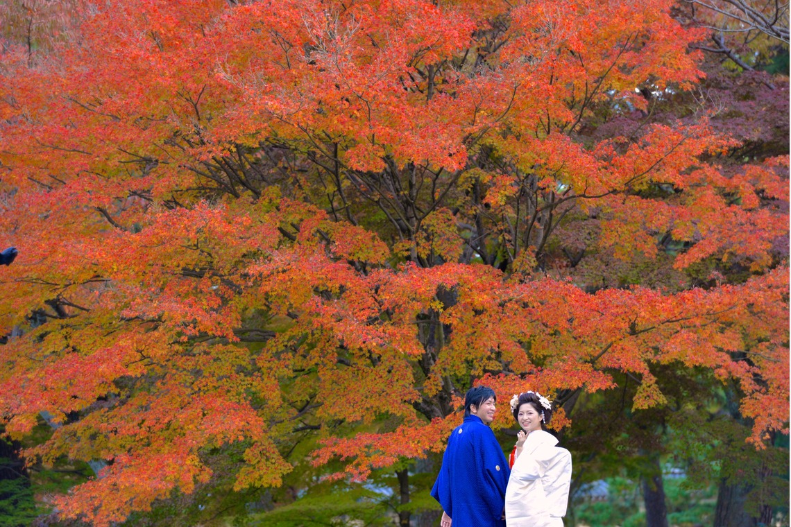 キキフォトワークスが撮影した「京都で和装前撮りロケーション」の写真