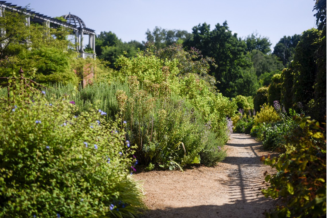 Lucky Sliver Sixpenceが撮影した「プラン名：Romantic Park(ロケーション参考写真）」の写真