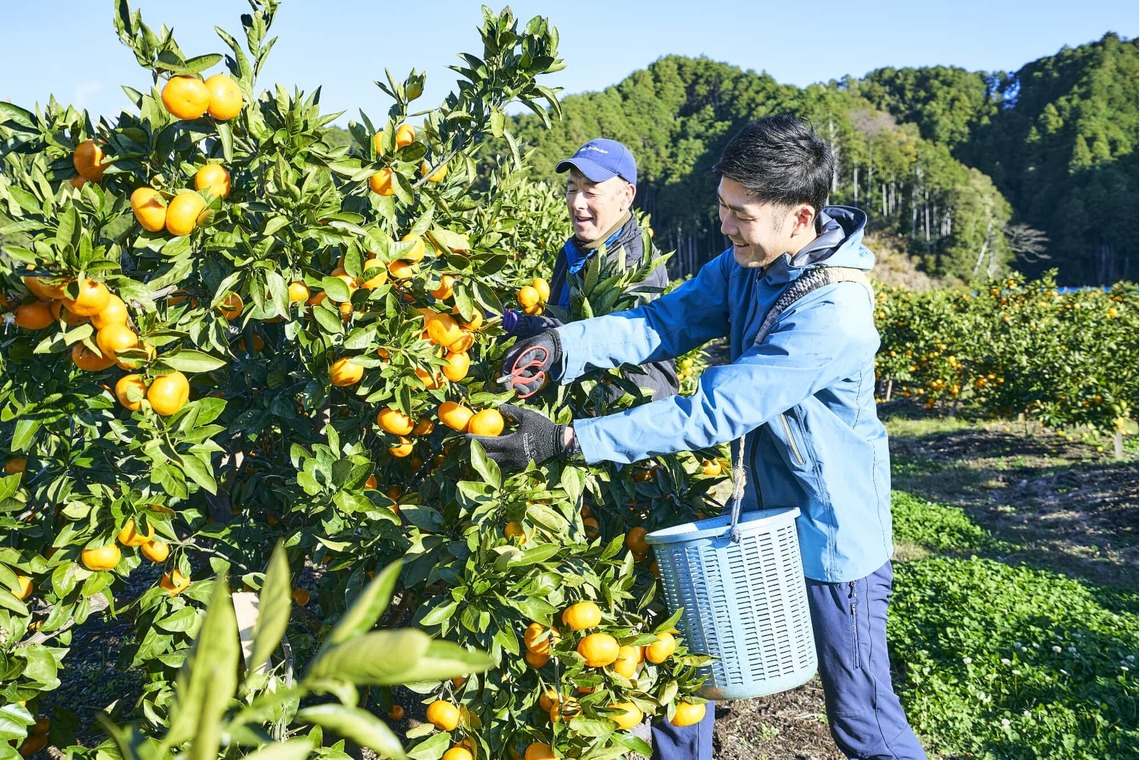 大橋裕紀が撮影した「みかん農園様の商品撮影とスナップ」の写真
