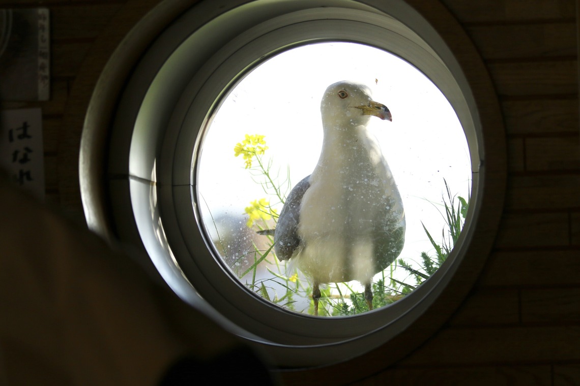 TATEZOUが撮影した写真のアルバム「ポートレート等」