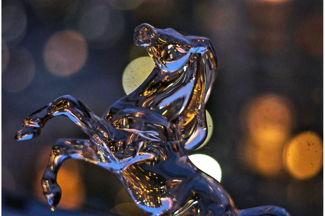 SmileMemoriesPhotoStudioが撮影した「小物・花撮影」の写真