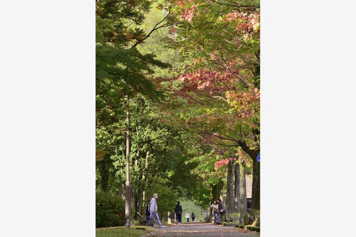西野耀史 (写真事務所かがやき)が撮影した写真のアルバム「風景写真」