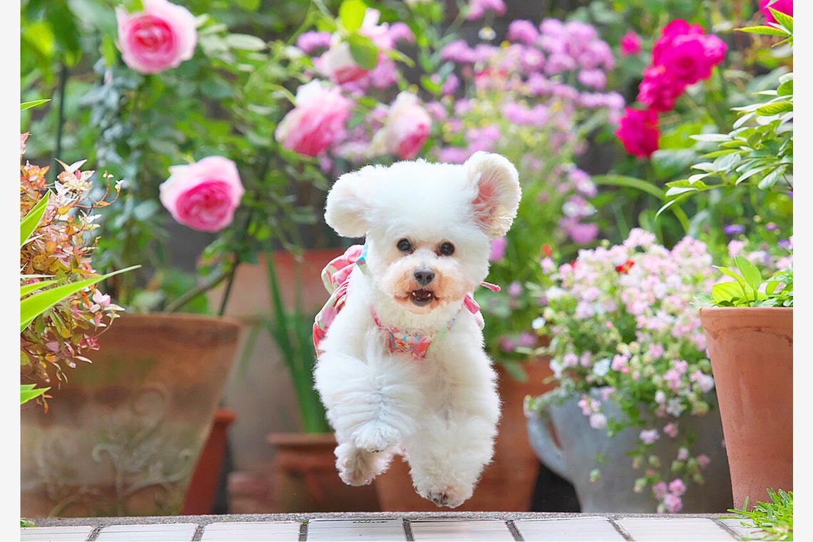 株式会社Photo Lucky