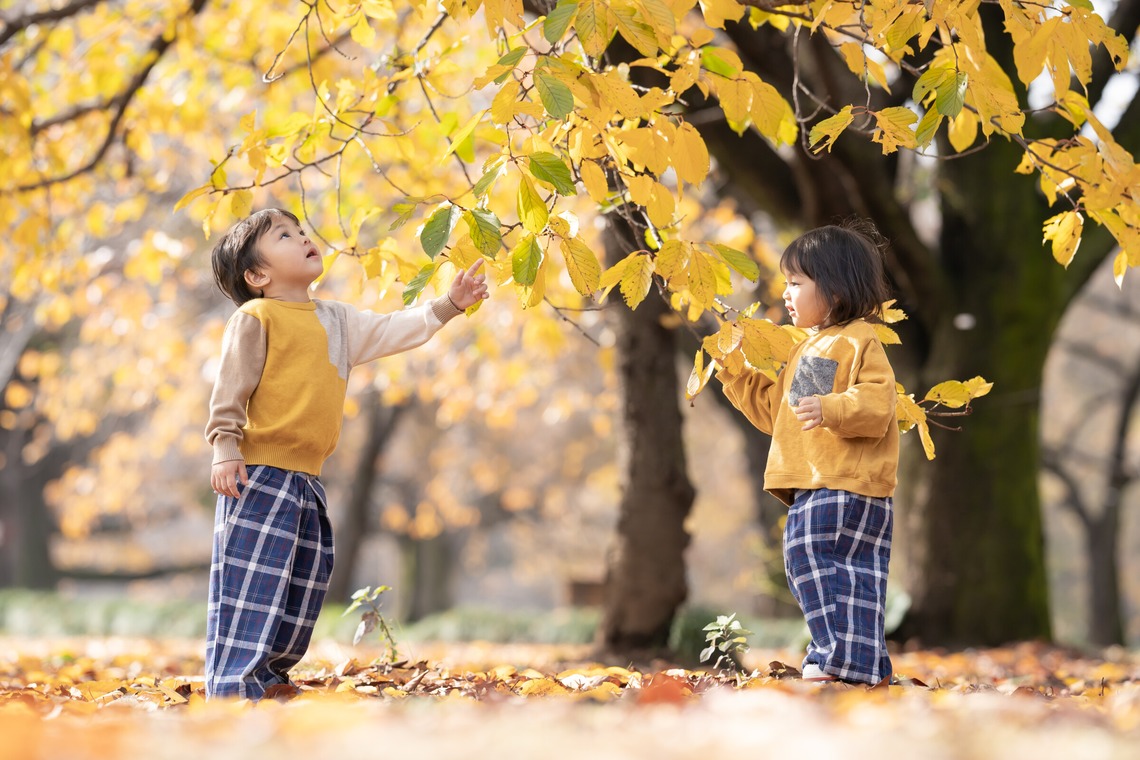 mpty photoが撮影した「出張ロケ写真」の写真