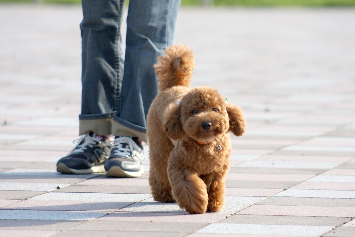 株式会社Photo Lucky