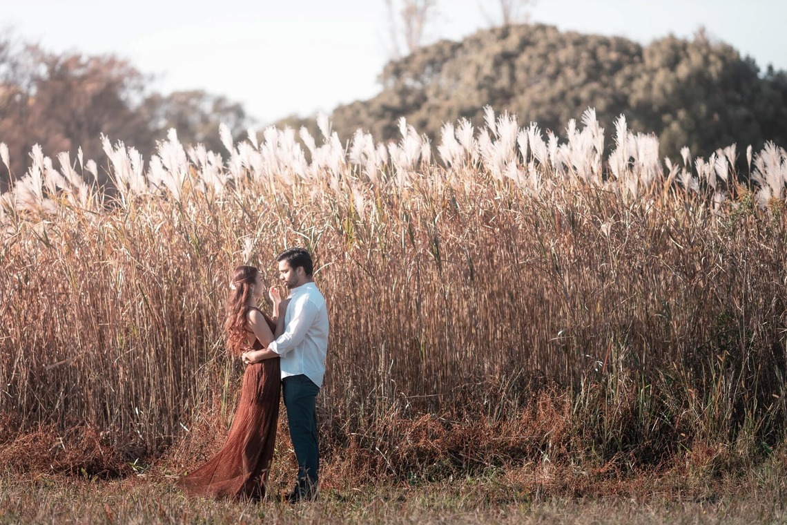 kudophotoが撮影した写真のアルバム「フォトウエディング＿メタセコイアの森」