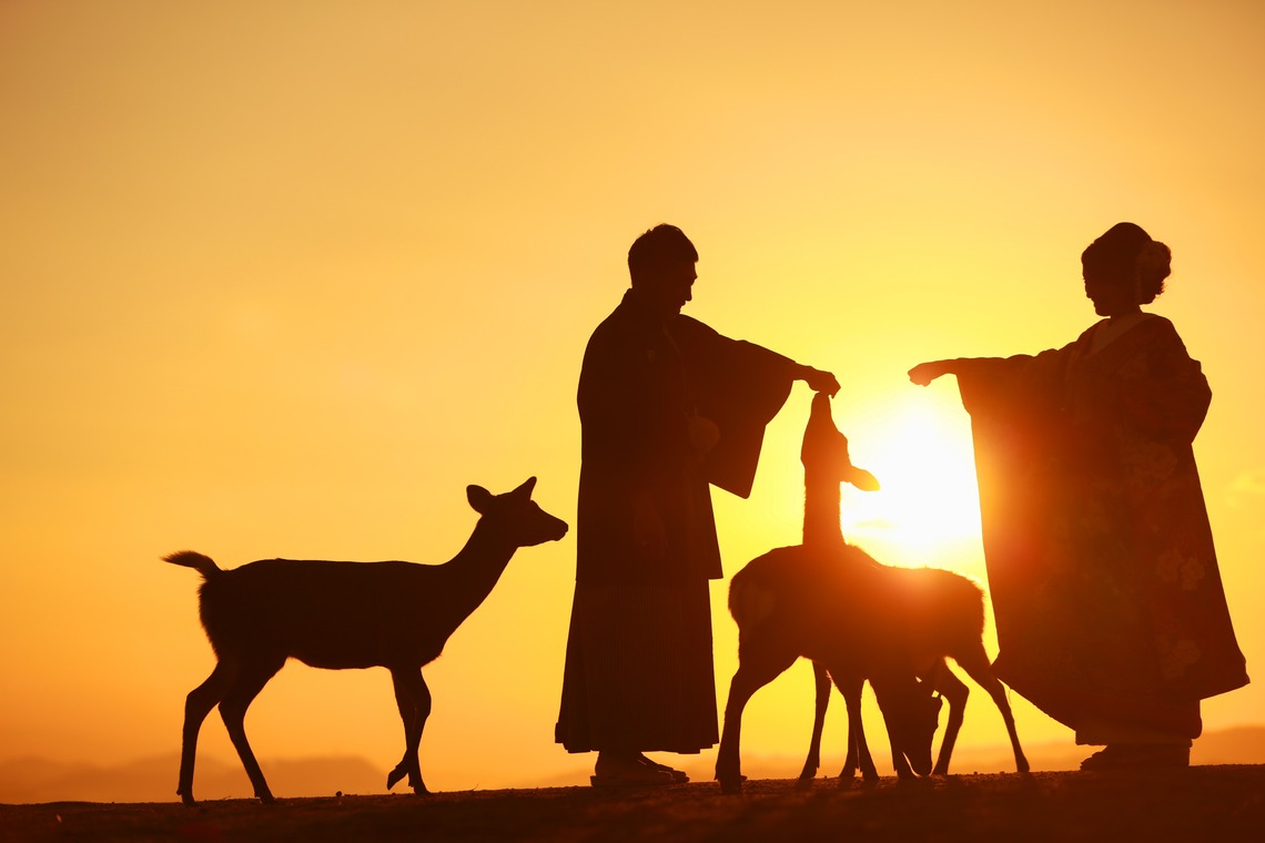 Hayashi Photo Worksが撮影した「奈良フォト」の写真