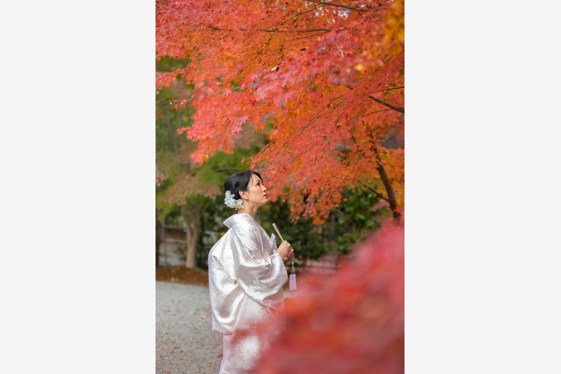 saruco(岩崎寿）が撮影した写真のアルバム「秋の和装前撮り」