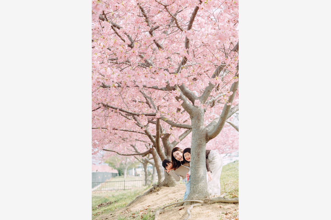 藤内誠一郎が撮影した写真のアルバム「ファミリーフォト」